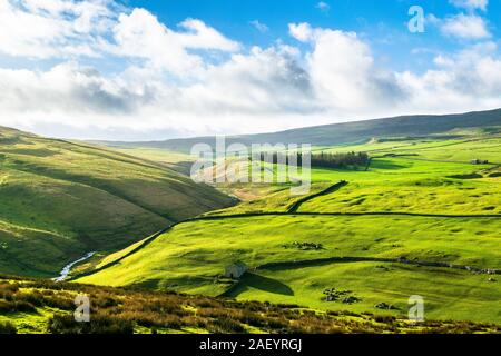 Darnbrook Moor. Yorkshire Dales National Park Banque D'Images