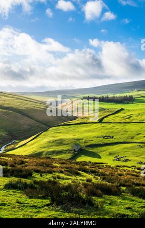 Darnbrook Moor. Yorkshire Dales National Park Banque D'Images