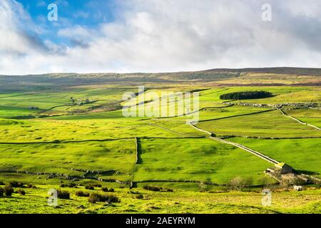 Darnbrook Moor. Yorkshire Dales National Park Banque D'Images