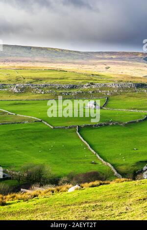 Darnbrook Moor. Yorkshire Dales National Park Banque D'Images