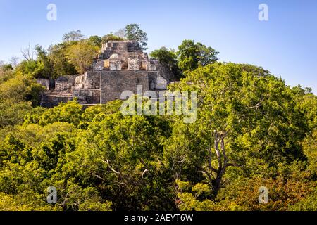 La pyramide principale Structure (II) Site archéologique de Calakmul à Campeche, Mexique. Banque D'Images