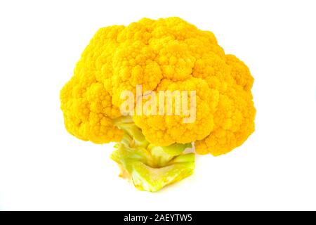 Chou-fleur orange sur fond blanc Banque D'Images