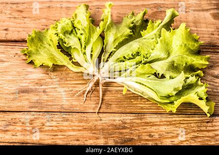 Les légumes frais de la ferme. Biologiques fraîchement récoltées, les feuilles de laitue laitue verte sur le marché fermier. Banque D'Images