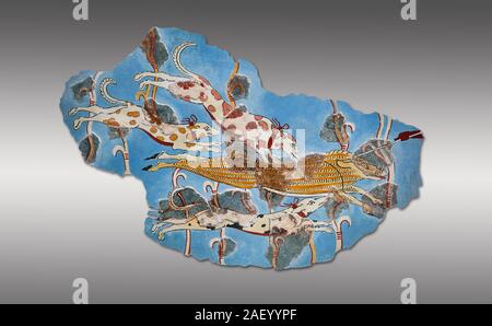 Peinture murale fresque mycénienne d'une chasse au sanglier de la cité de Tirynthe, la Grèce. 14e - 13e siècle avant J.-C.. Musée Archéologique d'Athènes. Fond gris Banque D'Images