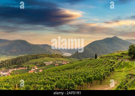 Danube dans vallée de la Wachau avec de vieilles ruines d'Hinterhaus château. Spitz. Basse Autriche. Banque D'Images