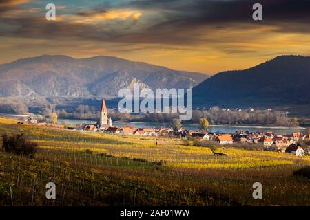 Église de Weissenkirchen et Danube. Vallée de la Wachau. Basse Autriche. Automne feuilles colorées et vignes sur un coucher du soleil. Banque D'Images