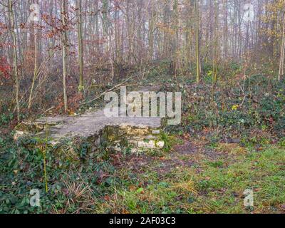 Ruines du château à proximité de Wittekindsburg Rulle, Osnabrueck-Land, Basse-Saxe, Allemagne. Fondement d'une chambre du château. Banque D'Images