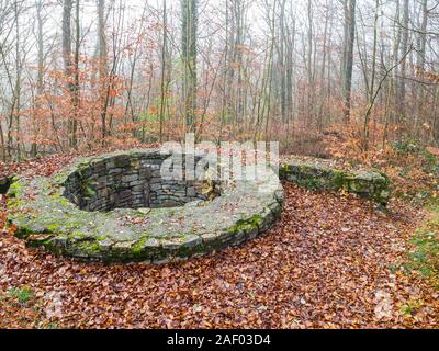 Ruines du château à proximité de Wittekindsburg Rulle, Osnabrueck-Land, Basse-Saxe, Allemagne. Tour ronde du château de duc Saxon Widukind, ennemi de la Banque D'Images