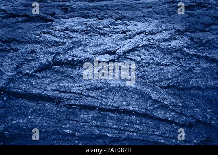 La texture rugueuse de l'ancienne structure de l'écorce, abstract natural background avec vigniette en tons de bleu qui est la principale tendance de l'année 2020. Banque D'Images