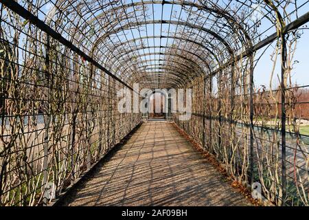 Vue avant Vue de la vigne long hall jardin tunnel avec garde-corps en acier rond structure dans l'heure d'hiver Autriche palais Schönbrunn Banque D'Images