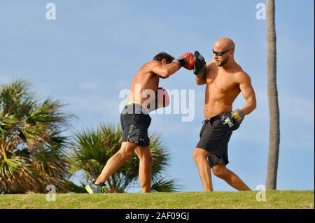 Un âge moyen, monter, male boxer avec entraîneur personnel formation musculaire coach en extérieur dans un park à Miami Beach, Floride, USA Banque D'Images