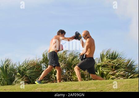 Un âge moyen, monter, male boxer avec entraîneur personnel formation musculaire coach en extérieur dans un park à Miami Beach, Floride, USA Banque D'Images