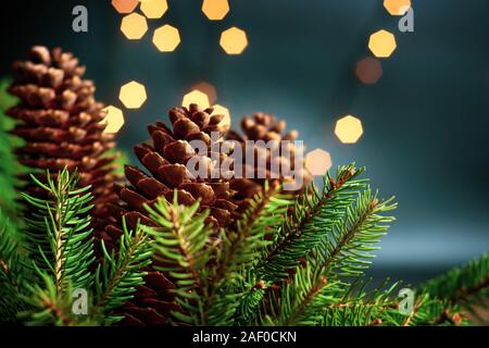 Pommes de Pin et sapin de Noël en environnement lumineux Banque D'Images