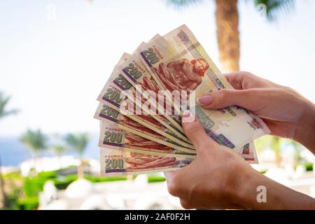 Jeune femme portant plusieurs billets Livre égyptienne sur fond flou de l'été. Banque D'Images