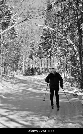 Un homme à la retraite du ski par une piste couverte de neige dans la forêt du parc Algonquin Banque D'Images