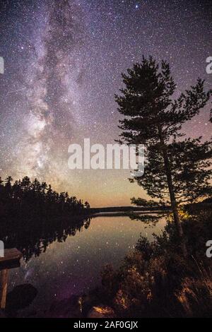 Voie Lactée avec la silhouette des arbres par un étang calme Banque D'Images