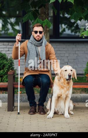 Aveugle avec bâton de marche assis sur un banc à côté de chien-guide Banque D'Images