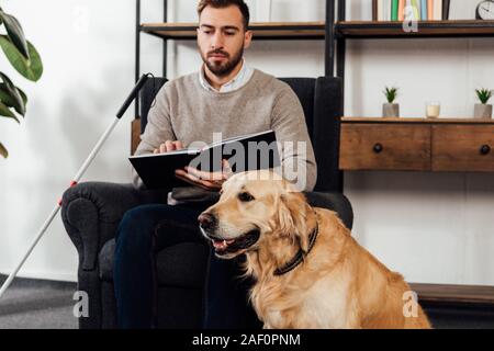 Focus sélectif de golden retriever assis à côté d'aveugle avec réserve dans la salle de séjour Banque D'Images