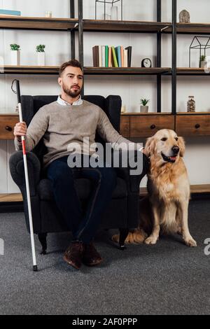 Aveugle avec bâton de marche assis dans un fauteuil à côté de golden retriever Banque D'Images