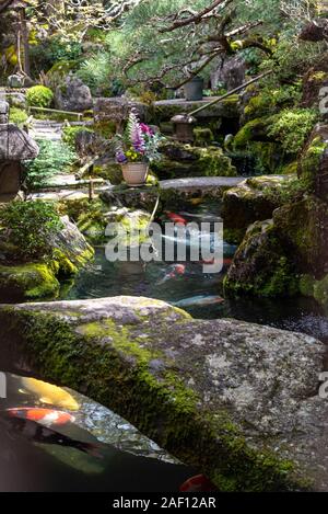 Les couleurs du printemps sur l'affichage dans le Jardin de Kyoto Banque D'Images