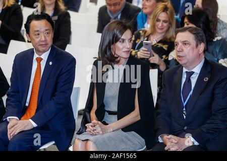 Madrid, Espagne. Dec 11, 2019. Reine Letizia d'Espagne assiste à l'événement principal pour le développement durable Objectif 12 (OSD12) : responsable de la production et de la consommation, dans le cadre de la Conférence des Nations Unies sur le Changement Climatique 2019 au cours de la CDP25 à l'IFEMA, le 11 décembre 2019 à Madrid, Espagne. Credit : Jimmy Olsen/Media Espagne*** ***aucune perforation/Alamy Live News Banque D'Images