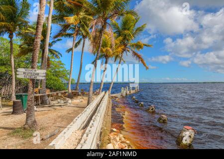 Laguna La Redonda, Moron, Ciego de Avila, Cuba, l'Amérique du Nord Banque D'Images