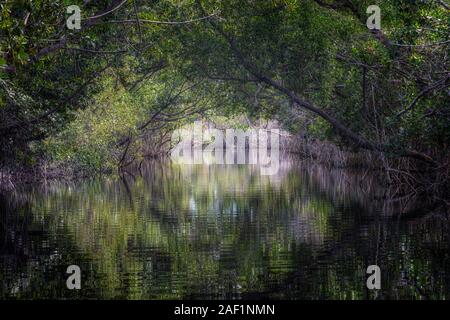 Laguna La Redonda, Moron, Ciego de Avila, Cuba, l'Amérique du Nord Banque D'Images