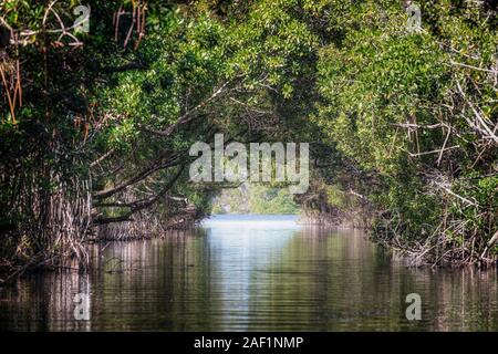 Laguna La Redonda, Moron, Ciego de Avila, Cuba, l'Amérique du Nord Banque D'Images