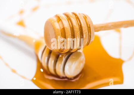 Vue rapprochée du miel Le miel en bois flaque et le cincle isolated on white Banque D'Images