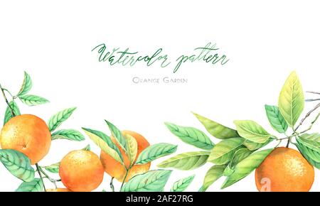 Branches de fruits orange aquarelle. Frontière avec l'arbre horizontal d'agrumes isolé sur blanc. Cadre réaliste et la place pour le texte. Botanique dessiné à la main Banque D'Images