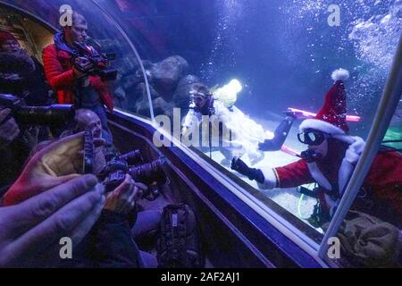 Berlin, Allemagne. Dec 12, 2019. Les résidents de Sea Life Berlin sont données traite par le Père Noël et un ange de Noël au cours de la plongée. Credit : Jörg Carstensen/dpa/Alamy Live News Banque D'Images