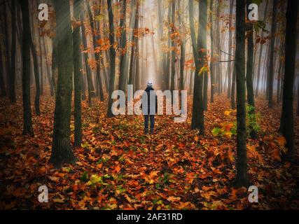Femme dans la forêt. homme marche dans une forêt de brouillard brouillard du matin. Banque D'Images