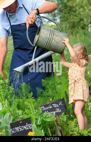 Le jardinage. Grand-père et sa petite-fille d'arroser un potager avec un arrosoir Banque D'Images