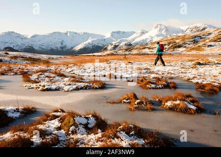 Une femme est tombée sur argent walker Howe, regard vers le Langdale Pikes dans le Lake District, UK. Banque D'Images