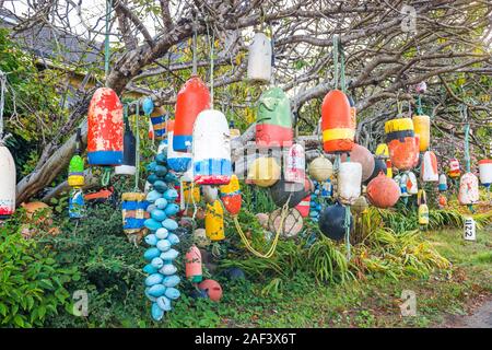 Des bouées colorées accroché sur arbre sur la cour avant d'une maison à Otter Rock, Oregon. Banque D'Images