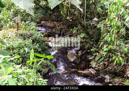 Les paysages naturels de Santa Rosa de Cabal à Risaralda, Colombie. Banque D'Images