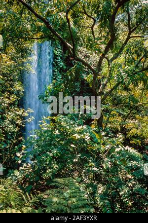 Birdpark de Jurong, à Singapour, l'un des plus haut du monde par l'homme, couverte de cascades. 30m de haut. Banque D'Images