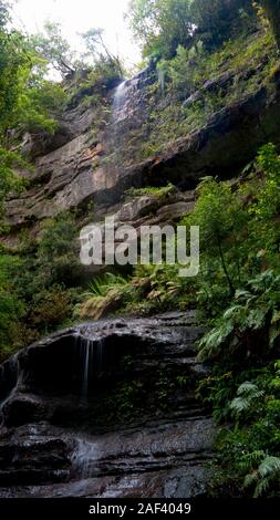 Une cascade dans les Blue Mountains à l'ouest de Sydney, New South Wales, Australia Banque D'Images