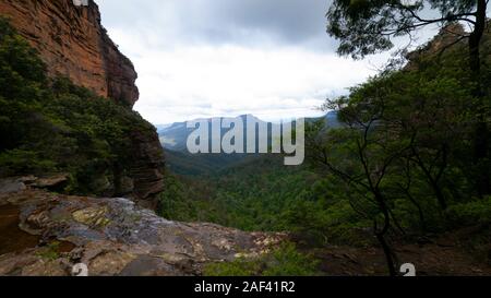 Les falaises de grès rouge au Blue montagnes à l'ouest de Sydney, New South Wales, Australia Banque D'Images