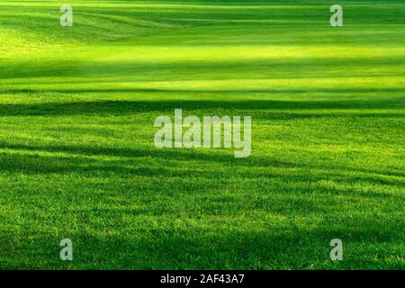 Motif à rayures de lumière et d'ombre sur une belle pelouse verte fraîche d'un terrain de golf, aux couleurs vives. Banque D'Images