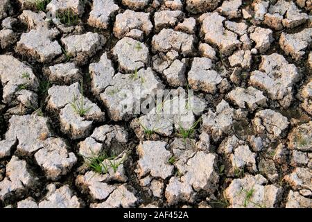 Les zones arides sont caractérisées par une rareté de l'eau. Les zones arides ont été façonnées par une combinaison de faibles précipitations, sécheresses, et chaleur. Banque D'Images