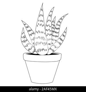 L'aloe vera contour. Illustration vectorielle stock Illustration de Vecteur