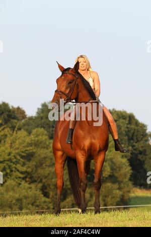 Jeune femme équitation cheval sans selle sur meadow Banque D'Images