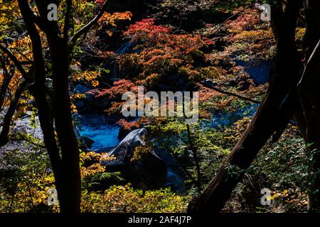 Couleurs d'automne dans les gorges de Shosenkyo, préfecture de Yamanashi, Japon Banque D'Images