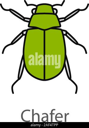 L'icône couleur du hanneton européen. Melolontha. June Bug. Vector illustration isolé Illustration de Vecteur