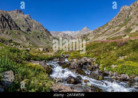 L'ascension du sommet du mont Kaçkar commence à Yusufeli Yaylalar Village. Les alpinistes marchent dans la verdure et sur la piste, accompagnés d'un ruisseau Banque D'Images