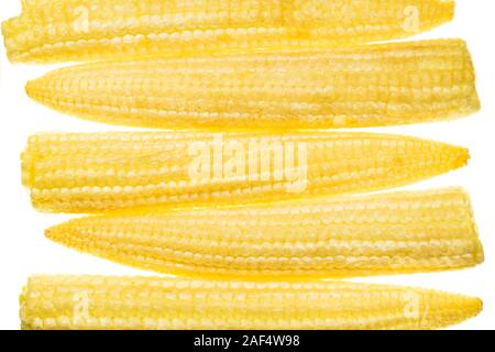 Maïs doux bébé Banque D'Images