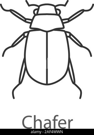 Hanneton européen icône linéaire. Melolontha. Fine ligne illustration. June Bug. Symbole de contour. Dessin vectoriel aperçu isolés Illustration de Vecteur