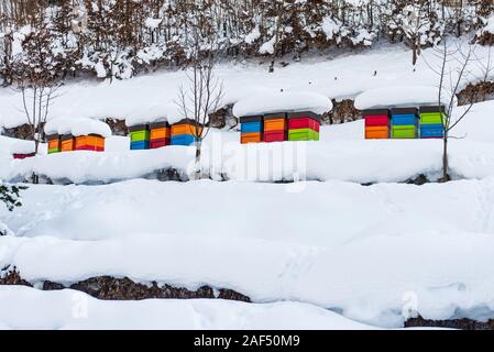 L'hiver, la neige paysage avec ruches colorées couvertes de neige, placé sur la colline. Les arbres couverts de neige et les montagnes en arrière-plan. Banque D'Images