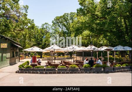 Melbourne, Australie - Novembre 17, 2009 : Belgian beer Café Pierre Bleue. Jardin de bière avec des gens à des tables avec parasols en vertu de l'arbre vert feuillage. Ligh Banque D'Images